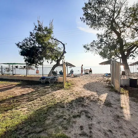 Sapfo Apartament