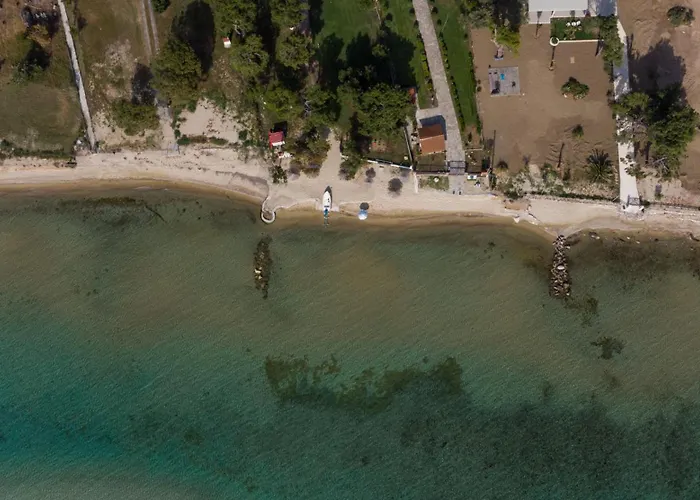 Lägenhet Sapfo Nikiti (Sithonia)