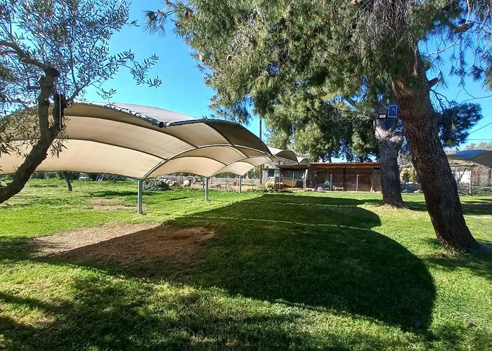 公寓 Sapfo 尼基季